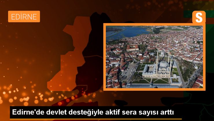 Edirne’de devlet desteğiyle seralar yenilendi