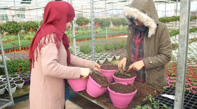 Türkiye’nin süs bitkileri ihracatı Rusya pazarında büyümeye devam ediyor