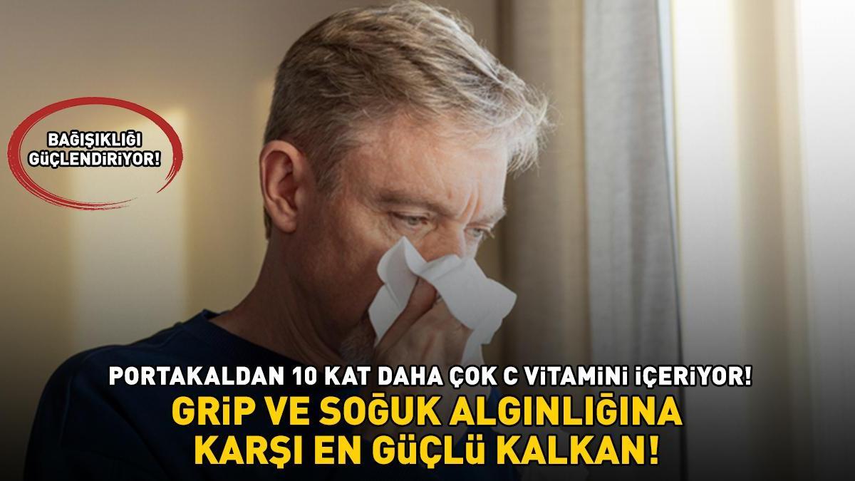 Grip ve soğuk algınlığına karşı en güçlü kalkan! Bağışıklığı güçlendiriyor: PORTAKALDAN 10 KAT DAHA ÇOK C VİTAMİNİ İÇERİYOR!