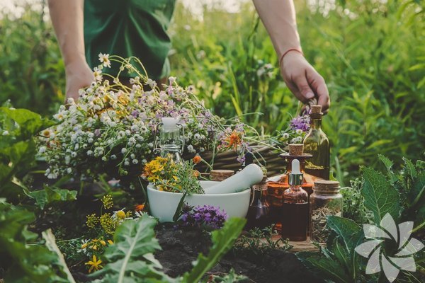 Toprağa dair dünyadan 27 atasözü